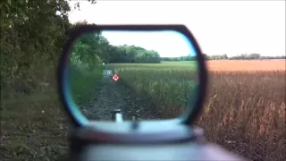 RUGER 10/22  Carbine Reflex Sight (red dot)  (POV)