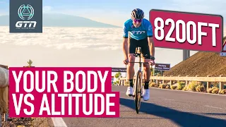 Altitude Training: Why The World's Best Athletes Do It!