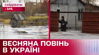 Весняне водопілля в Україні! Чи варто чекати масштабних підтоплень?