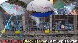 SOBRANG DAMI NA NAMAN NATING TAIWAN | QUALITY | LAST LAP👌💪