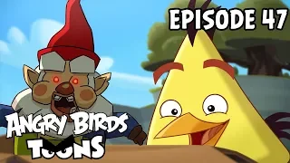 Angry Birds Toons | Oh Gnome! - S1 Ep47