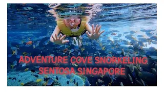 Adventure cove Snorkeling Water Park Singapore
