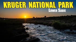 Kruger National Park for a weekend - Camping at Lower Sabie