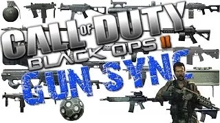 Black Ops 2 Gun Sync (Shine On Me)