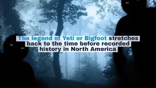 Watch now: [BN] Chronicles: Looking back at Western New York Bigfoot sightings