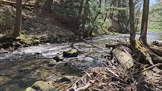 Clear Creek state park  Sigel. PA.