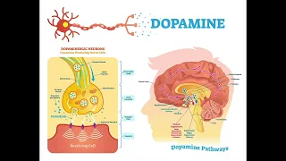 DOPAMINE RECEPTOR REPAIR - Morphic Field (BOOSTED)