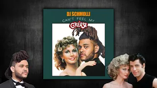 DJ Schmolli - Can't Feel My Grease
