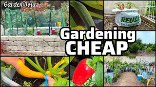 Garden Tour CHEAP Growing TIPS Peppers Squash Tomatoes Lettuce Collard Cucumbers Container Gardening