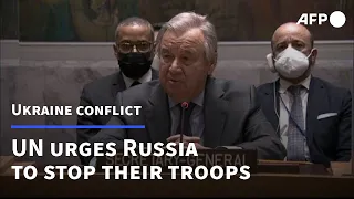 UN chief tells Putin: 'Stop your troops from attacking Ukraine' | AFP