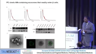 Role of Pancreatic Cancer‐derived Exosomes