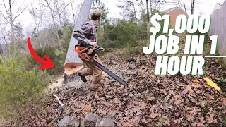 Pulling HUGE tree against its lean