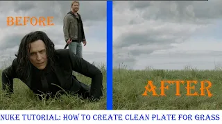 Nuke Tutorial: How to create clean plate for grass||transform Masked | Transform [HINDI] class _14