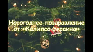 Поздравление коллектива туроператора "Калипсо Украина" с Новым годом 2019!