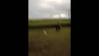 Man Falling off horse