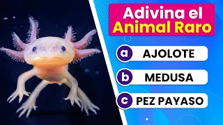 Adivina el Animal Extraño 🐌🤪 | Test de 50 + 1 Animales | ¿Cuántos conoces 😮?