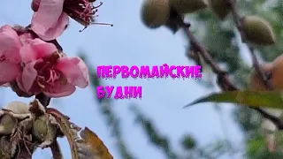 14/24#VLOG/ВСЕ ОБО ВСЕМ/ПЕРВОМАЙСКИЕ БУДНИ/ВЫШИВКА/ВУЛКАН/МАЙ/ПАНАМА/Часть N1