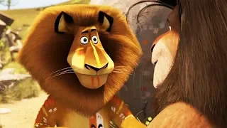 DreamWorks Madagascar en Español Latino | Clip de Película  - Madagascar 2 | Dibujos Animados