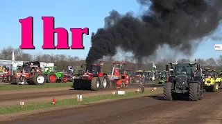 1Std. Osterhasi Trecker Treck Klein Vollstedt 20.04.2019 Montag ist Haßmoor WOW