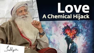 Love - A Chemical Hijack | Sadhguru