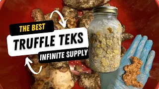 🍄 How To Make Infinite Truffles: The Best Truffle TEKs (Edible Mycology with Sage!) 🍄