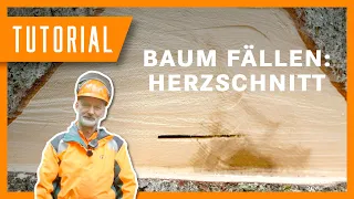 Baum fällen mit dem Herzschnitt I I Tutorial der Bayerischen Staatsforsten