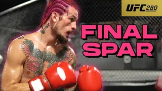 Sean O'Malley's OFFICIAL LAST SPAR | UFC 280