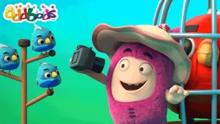 Oddbods Français | Bonne Année - Happy 2022!  | Dessin Animé en Français