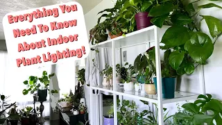 Natural Lighting for Houseplants Tips & Tricks! | Indoor Plant Lighting!