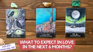 What To Expect in Love in The Next 6 Months? | Timeless Reading
