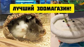 САМЫЙ ЛУЧШИЙ ЗООМАГАЗИН ☺️ SvinkiShow в DINO ZOO 🇱🇻 Латвия, Рига