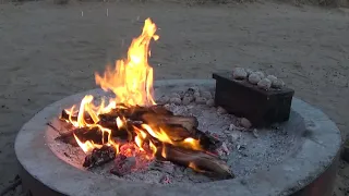 Central Kalahari Game Reserve - September 2019