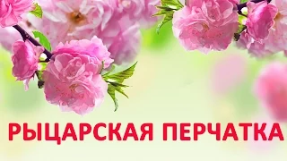 Десмургия. Повязка на пальцы - рыцарская перчатка