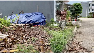 Neighbors shed tears of joy when I cleaned up the sidewalk full of trash and grass