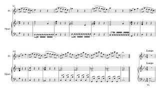 Vivaldi Flute Concerto RV 439 G minor, "La Notte" Orchestral Accompaniment