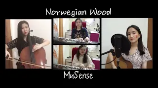 Norwegian Wood - The Beatles Cover by MuSense