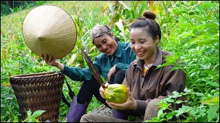 60 Days of Harvesting Papaya, Pumpkin, Bitter Melon, and Chicken to Sell | Ana Bushcraft