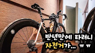 반년만에 자전거를 타면 겪는 고난 ㅠㅠ (튜블리스 최악의 단점)