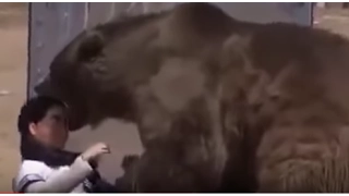 Grizzly Bear Attack - Rips Head Off on Live TV Show