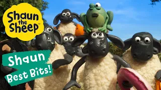 Pond Life | Shaun the Sheep Best Bits Season 6