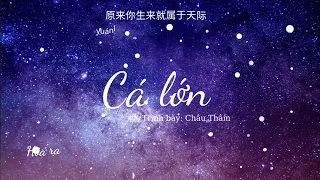 [Vietsub] Đại ngư/Cá lớn - Châu Thâm (大鱼 - 周深) - OST Đại Ngư Hải Đường)