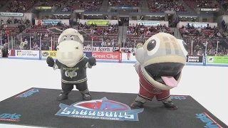 Zooperstars Second Intermission Performance - January 2, 2016