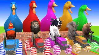 5 Giant Duck, Monkey, Lion, kangaroo, Mammoth, Tiger, Sheep, Transfiguration funny animal 2023