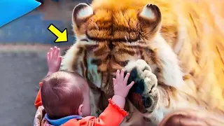 Tiger Keeps Coming Over When He Sees This Kid – Then They Discover the Sad Reason