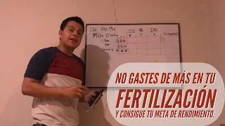 ¿Cómo Calcular fertilización para tu cultivo? Nitrógeno, fósforo y potasio . Cultivo de maiz