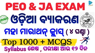 Odia Grammar Marathon Class ( ଓଡ଼ିଆ ବ୍ୟାକରଣ ମାରାଥନ୍ ) 1000 MCQS by @PATTANAYAKEDUCATION |PEO JA |