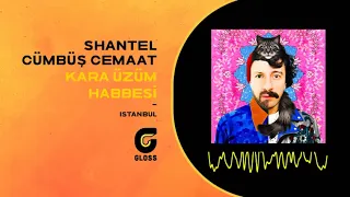 Shantel & Cümbüş Cemaat - Kara Üzüm Habbesi (İstanbul)