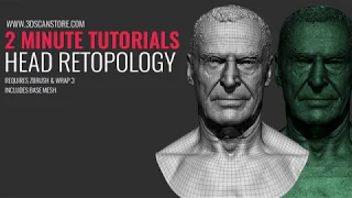2 Minute Tutorial - 3D Head Scan Retopology for cleanup