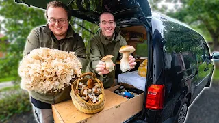 Massive Haul of Edible Mushrooms - Living in my Van, Foraging and Cooking Wild Food