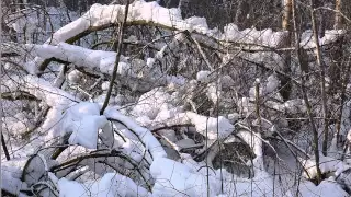 Снежные узоры Николая Деева